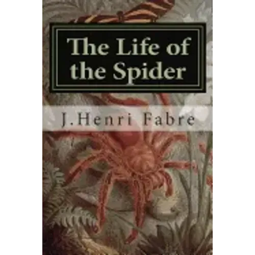 The Life of the Spider