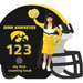 Iowa Hawkeyes 123-Board