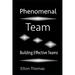 Phenomenal Team: Building Effective Teams