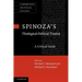 Spinoza's 'Theological-Political Treatise': A Critical Guide