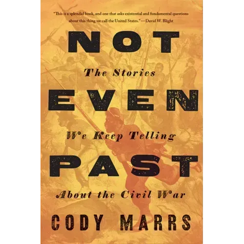 Not Even Past: The Stories We Keep Telling about the Civil War