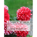 A Practical Treatise on the Culture of the Dahlia