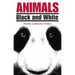 Animals Black and White