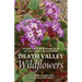 Death Valley Wildflowers: A Visitor's Guide to the Wildflowers, Shrubs and Trees of Death Valley National Park