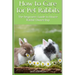 How to Care for Pet Rabbits: The beginners Guide to House Rabbit Ownership