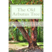 The Old Arbutus Tree