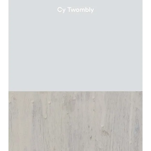 Cy Twombly