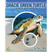 Gracie Green Turtle Finds Her Beach: A Harry Hawksbill Sea Turtle Adventure