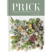 Prick: Cacti and Succulents: Choosing, Styling, Caring