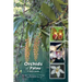 Orchids of Palau: A Field Guide
