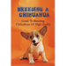 Breeding A Chihuahua: Guide To Breeding Chihuahuas Of High Quality: Chihuahua Dog Breed Information
