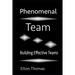 Phenomenal Team: Building Effective Teams