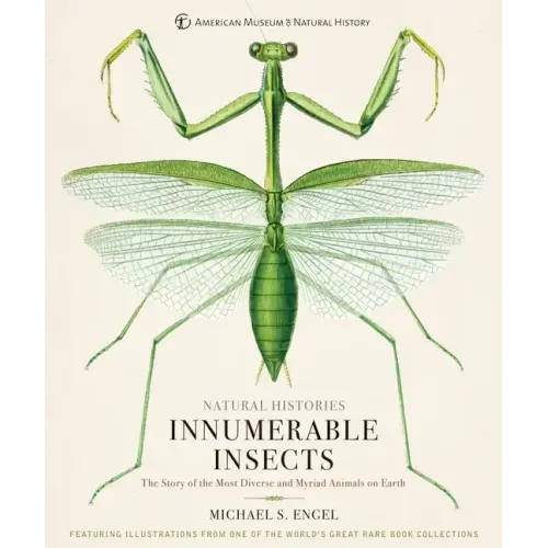 Innumerable Insects: The Story of the Most Diverse and Myriad Animals on Earth