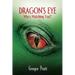 Dragon's Eye: Who's Watching You?