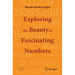 Exploring the Beauty of Fascinating Numbers