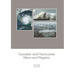 Tsunamis and Hurricanes: Effects and Mitigation