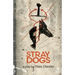 Stray Dogs