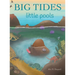 Big Tides Little Pools