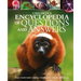 Children's Encyclopedia of Questions and Answers: Space, Planet Earth, Animals, Human Body, Science, Technology
