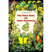 The Frog King or Iron Heinrich