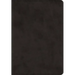 ESV Super Giant Print Bible (Trutone, Black)