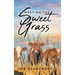 Meeting the Sweet Grass