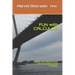 FUN with CALCULUS: Easy to use, Easy to Learn 500 Full Solutions and Examples