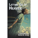 Letting Go of Heaven