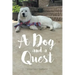 A Dog and a Quest