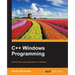 C ++ Windows Programming