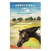 Appaloosa Sky