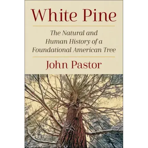 White Pine: The Natural and Human History of a Foundational American Tree