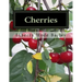 Cherries