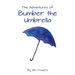 The Adventures of Bumber the Umbrella