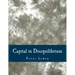 Capital in Disequilibrium (Large Print Edition): The Role of Capital in a Changing World