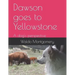 Dawson goes to Yellowstone