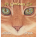 No Ordinary Cat