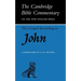 The Gospel According to John