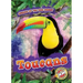 Toucans