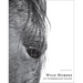 Wild Horses of Cumberland Island