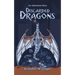 Discarded Dragons: An Adventure Story