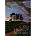A Red Heart of Memories