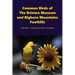 Common Birds of The Brinton Museum and Bighorn Mountains Foothills