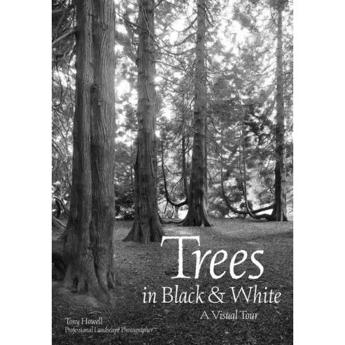 Trees in Black & White: A Visual Tour