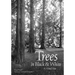 Trees in Black & White: A Visual Tour