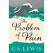 The Problem of Pain