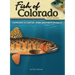 Fish of Colorado Field Guide