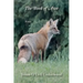 The Book of Awe
