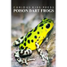Poison Dart Frogs - Curious Kids Press: Kids book about animals and wildlife, Children's books 4-6