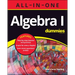 Algebra I All-In-One for Dummies